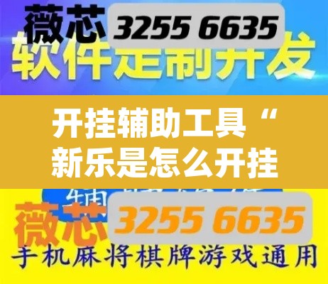 开挂辅助工具“新乐是怎么开挂的”(透视挂)辅助透视教程