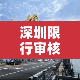 深圳限行审核要多久时间—（深圳限行审核要多久时间出结果）