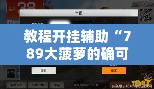 教程开挂辅助“789大菠萝的确可以开挂”(透视挂)辅助透视教程