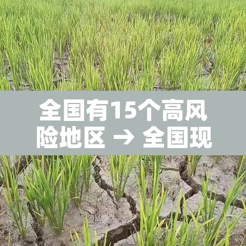 全国有15个高风险地区 → 全国现有1个高风险区13个中风险区 全国有15个高风险地区 → 全国现有1个高风险区13个中风险区