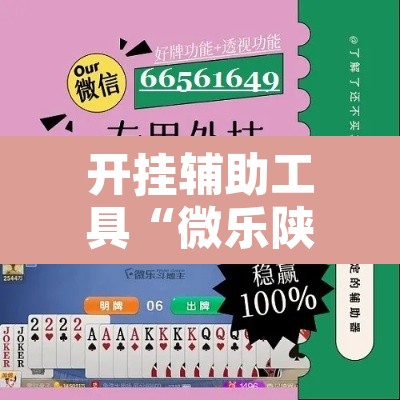 开挂辅助工具“微乐陕西三代辅助软件”开挂辅助脚本+详细开挂安装教程