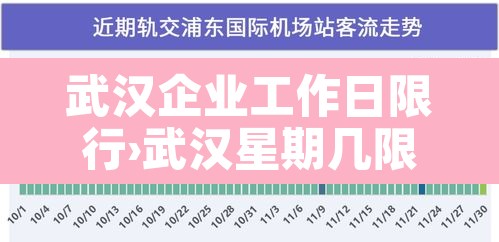 武汉企业工作日限行›武汉星期几限行 武汉企业工作日限行›武汉星期几限行