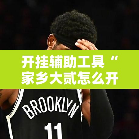开挂辅助工具“家乡大贰怎么开挂是真的吗?”开挂辅助脚本+详细开挂安装教程