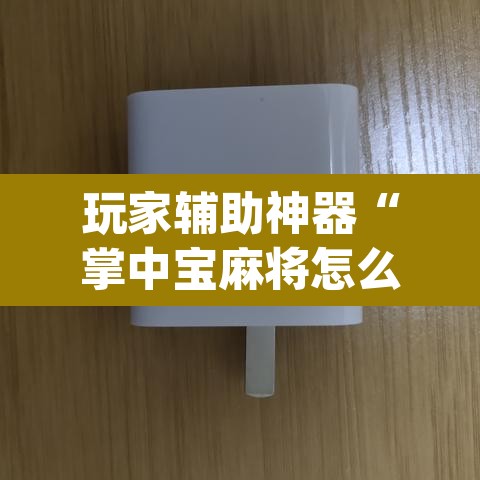 玩家辅助神器“掌中宝麻将怎么装挂	”(透视挂)辅助透视教程