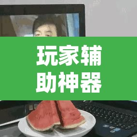 玩家辅助神器“哥哥打大a辅助工具”(透视)其实确实有挂
