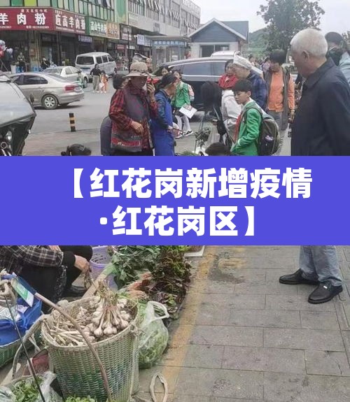 【红花岗新增疫情·红花岗区】