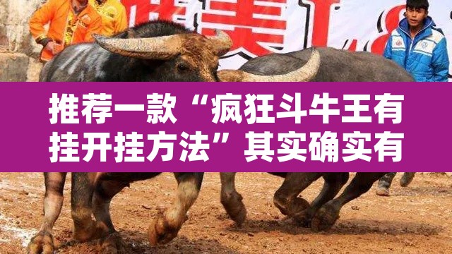 推荐一款“疯狂斗牛王有挂开挂方法	”其实确实有挂