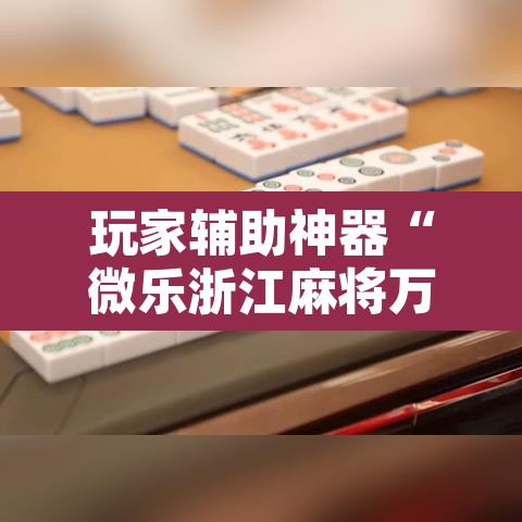 玩家辅助神器“微乐浙江麻将万能开挂器免费”开挂辅助脚本+详细开挂安装教程