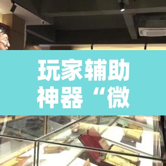 玩家辅助神器“微乐浙江麻将万能开挂器免费	”开挂辅助脚本+详细开挂安装教程