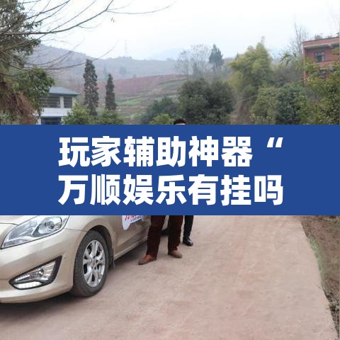 玩家辅助神器“万顺娱乐有挂吗”其实确实有挂