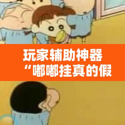 玩家辅助神器“嘟嘟挂真的假的	”开挂辅助脚本+详细开挂安装教程