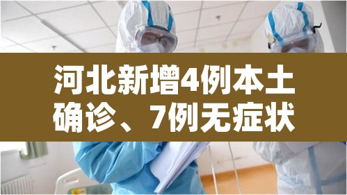 河北新增4例本土确诊	、7例无症状›河北新增4例本土确诊病例