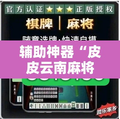 辅助神器“皮皮云南麻将通用挂	”其实确实有挂
