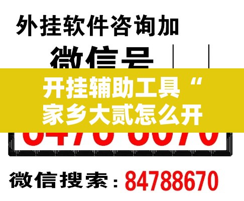 开挂辅助工具“家乡大贰怎么开挂是真的吗?”开挂辅助脚本+详细开挂安装教程