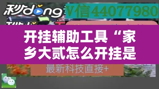开挂辅助工具“家乡大贰怎么开挂是真的吗?”开挂辅助脚本+详细开挂安装教程