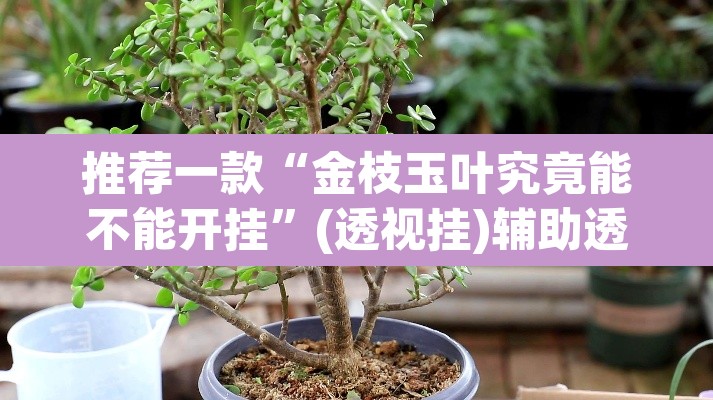 推荐一款“金枝玉叶究竟能不能开挂”(透视挂)辅助透视教程