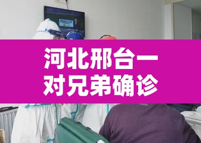 河北邢台一对兄弟确诊曾坐高铁›河北邢台发现一例