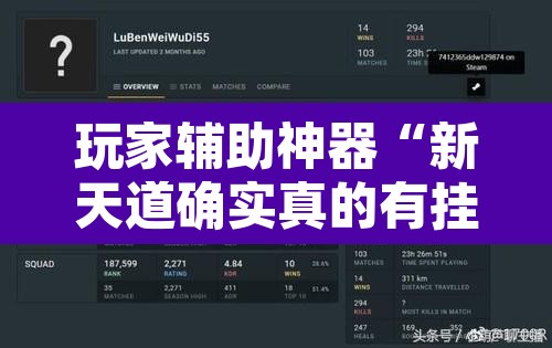玩家辅助神器“新天道确实真的有挂”开挂辅助脚本+详细开挂安装教程