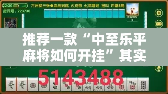 推荐一款“中至乐平麻将如何开挂”其实确实有挂