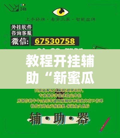 教程开挂辅助“新蜜瓜大厅怎么开挂	”(透视)其实确实有挂