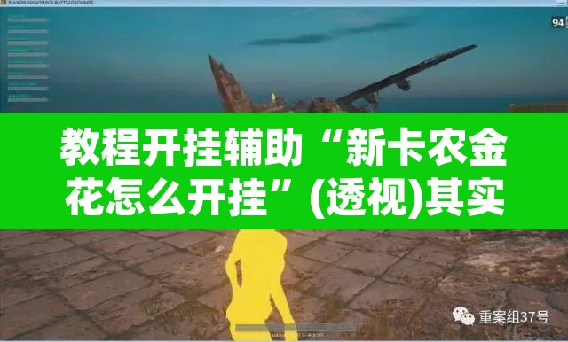 教程开挂辅助“新卡农金花怎么开挂”(透视)其实确实有挂