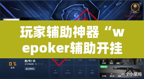 玩家辅助神器“wepoker辅助开挂	”(透视挂)辅助透视教程