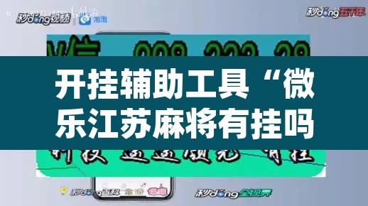 开挂辅助工具“微乐江苏麻将有挂吗”(透视挂)辅助透视教程