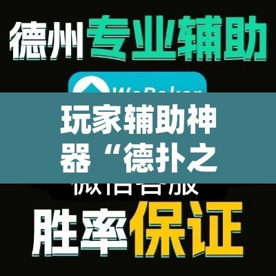 玩家辅助神器“德扑之星作弊透视挂”(透视挂)辅助透视教程