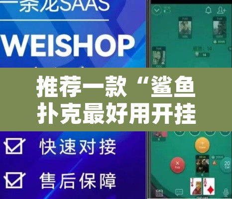 推荐一款“鲨鱼扑克最好用开挂”开挂辅助脚本+详细开挂安装教程