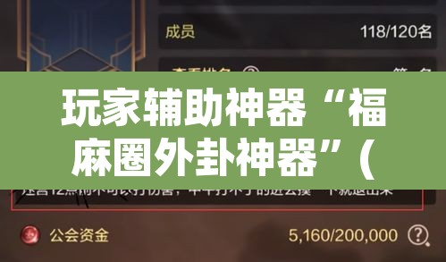 玩家辅助神器“福麻圈外卦神器”(透视)其实确实有挂