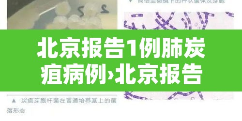 北京报告1例肺炭疽病例›北京报告1例肺炭疽病例活动轨迹 北京报告1例肺炭疽病例›北京报告1例肺炭疽病例活动轨迹