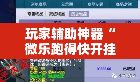 玩家辅助神器“微乐跑得快开挂下载安装微信”开挂辅助脚本+详细开挂安装教程