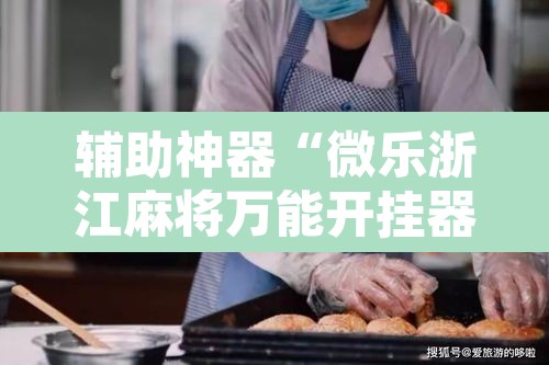 辅助神器“微乐浙江麻将万能开挂器免费”其实确实有挂