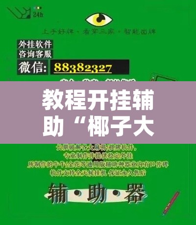 教程开挂辅助“椰子大厅透视”附辅助神器开挂脚本详细步骤
