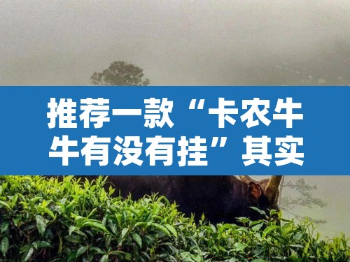 推荐一款“卡农牛牛有没有挂”其实确实有挂
