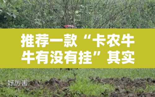 推荐一款“卡农牛牛有没有挂”其实确实有挂