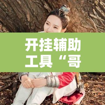 开挂辅助工具“哥哥打大a怎么开挂”开挂辅助脚本+详细开挂安装教程