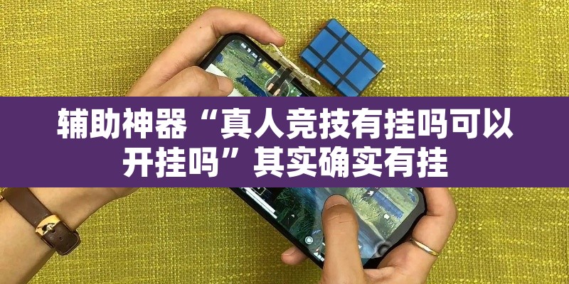 辅助神器“真人竞技有挂吗可以开挂吗	”其实确实有挂