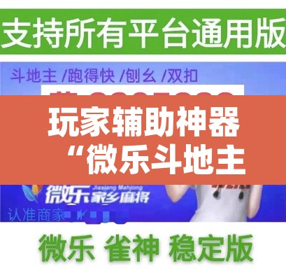 玩家辅助神器“微乐斗地主亲友房怎么能拿到好牌呢	”其实确实有挂