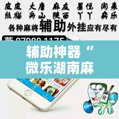 辅助神器“微乐湖南麻将可以开挂吗”其实确实有挂