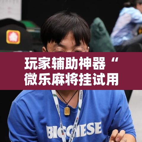 玩家辅助神器“微乐麻将挂试用一天	”其实确实有挂