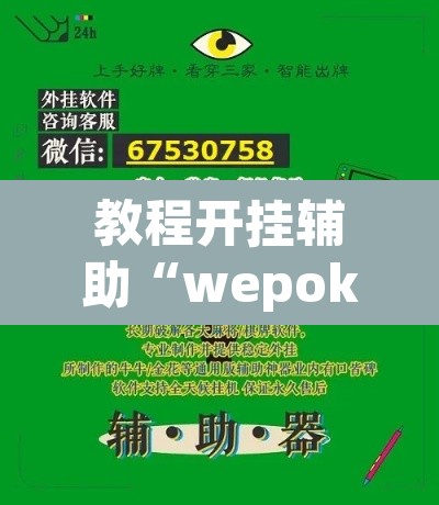 教程开挂辅助“wepoker私人局透视教程”(透视)其实确实有挂