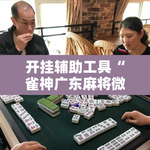 开挂辅助工具“雀神广东麻将微信挂”附辅助神器开挂脚本详细步骤