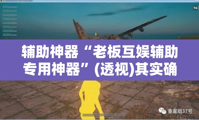 辅助神器“老板互娱辅助专用神器	”(透视)其实确实有挂