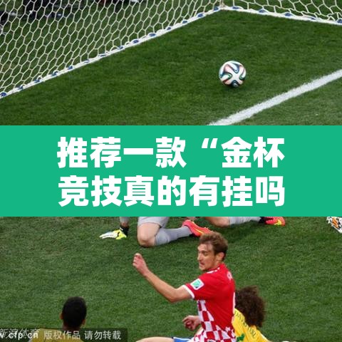 推荐一款“金杯竞技真的有挂吗	”其实确实有挂