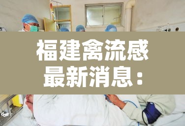 福建禽流感最新消息:福建禽流感最新消息2020 福建禽流感最新消息:福建禽流感最新消息2020