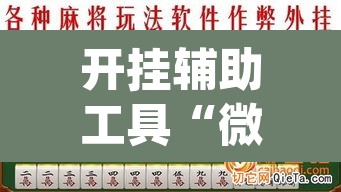 开挂辅助工具“微乐麻将挂先试用后付款	”(透视)其实确实有挂