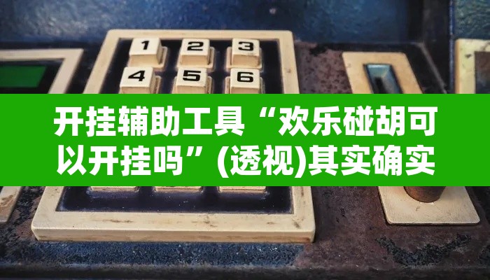 开挂辅助工具“欢乐碰胡可以开挂吗”(透视)其实确实有挂