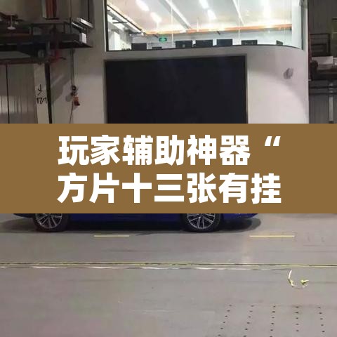 玩家辅助神器“方片十三张有挂吗”其实确实有挂