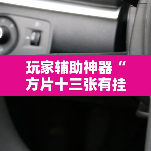 玩家辅助神器“方片十三张有挂吗”其实确实有挂